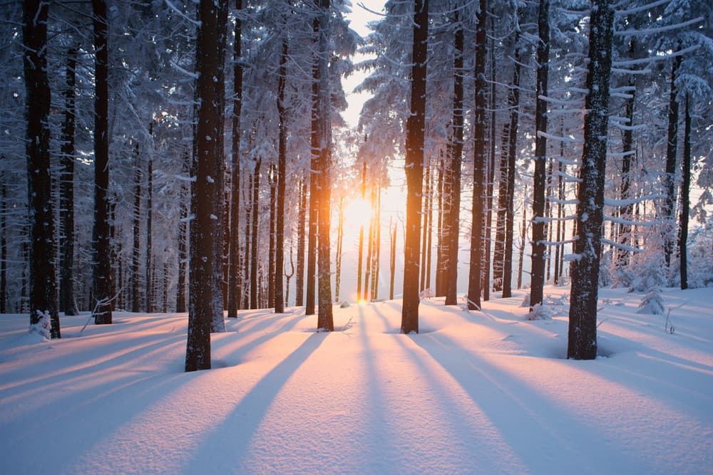 F Winter 1 neu (jpg) | Motiv © psynovec - Fotolia.com | © Fotolia.com, Januar 2015