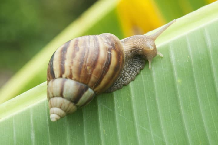 F Aufwaerts langsam1 neu (jpg) | Motiv © foto76 - Fotolia.com | © Fotolia.com, August 2014