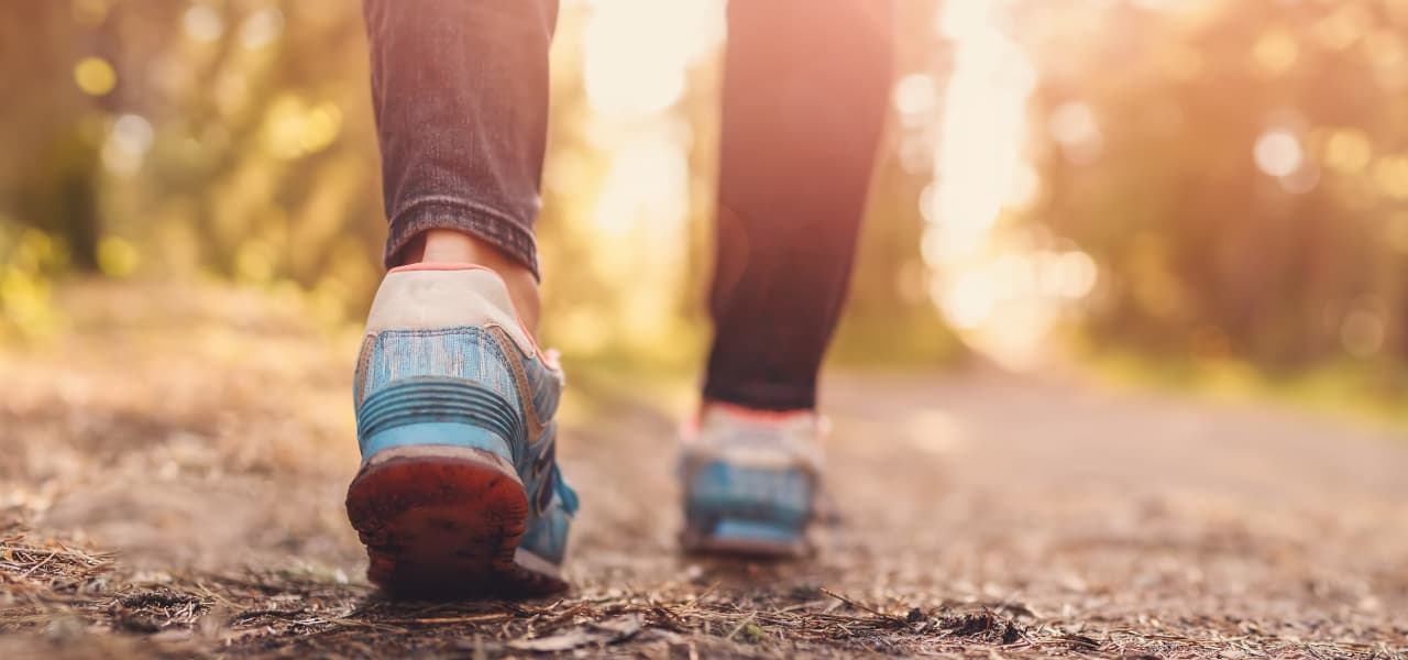 Tourismus | Motiv ©candy1812 - stock.adobe.com | © stock.adobe.com, März 2023 Person mit blauen Sneaker geht auf Waldweg bei Sonnenschein spazieren | Motiv ©candy1812 - stock.adobe.com | © stock.adobe.com, März 2023
