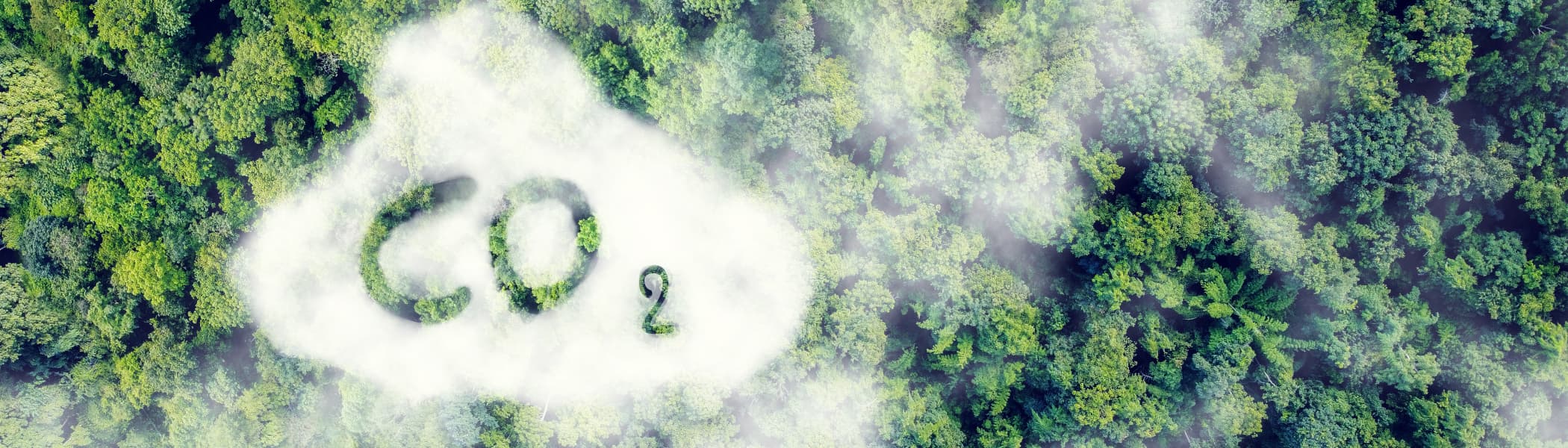 Treibhausgase 1 A Header (jpg) | Motiv @Kalawin-stock.adobe.com | © stock.adobe.com, Oktober 2026 Weißer Nebel mit Schriftzug CO2 über Bäumen | Motiv @Kalawin-stock.adobe.com | © stock.adobe.com, Oktober 2026